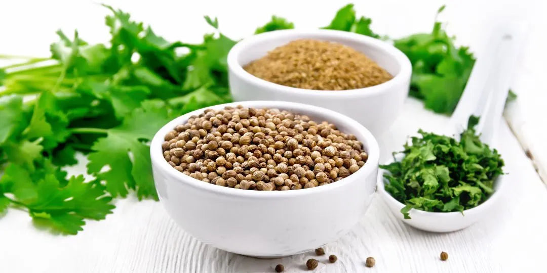 Les bienfaits de la coriandre
