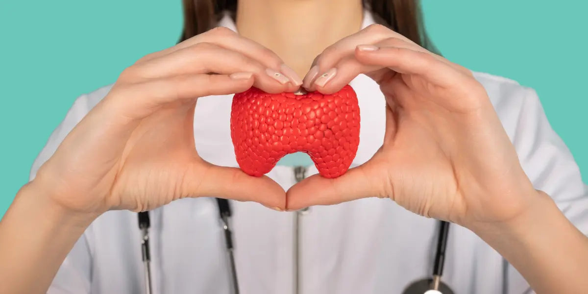 Comprendre le Rôle et le Fonctionnement de la Thyroïde