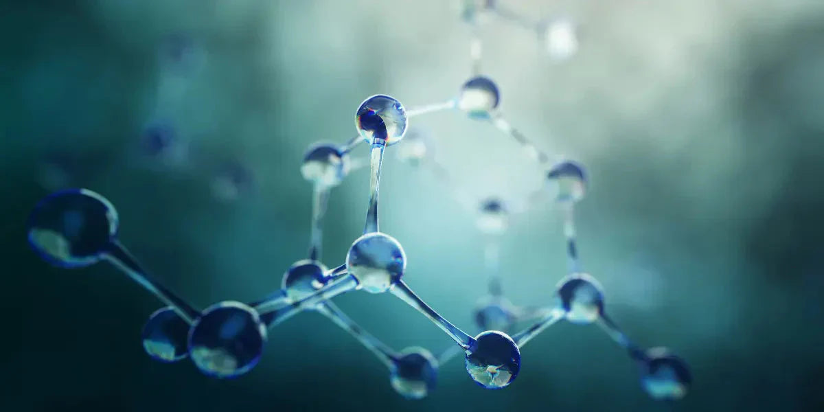 Parthénolide: un rôle dans la modulation de la douleur