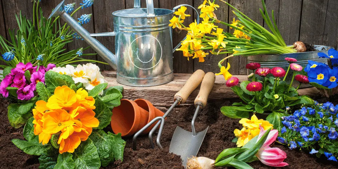 Les avantages du jardinage pour la santé mentale et physique