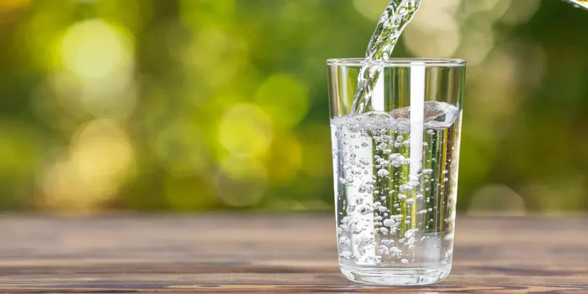 Les bienfaits de l'hydratation sur la santé cardiaque