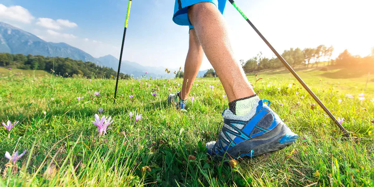 Randonnée en montagne : Les bienfaits pour la santé et le bien-être