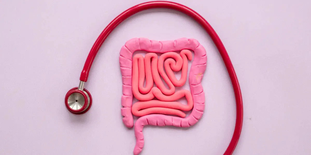 Quatre astuces pour booster votre système digestif