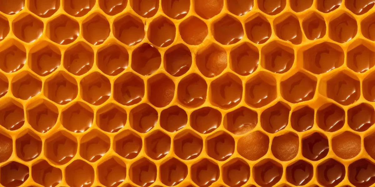 La cire d'abeille, un trésor naturel