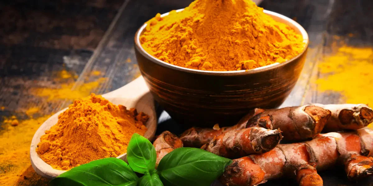 Bienfaits du curcuma sur le corps