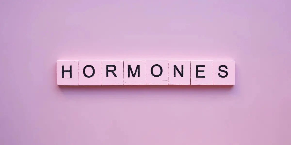 Comprendre l'équilibre hormonal