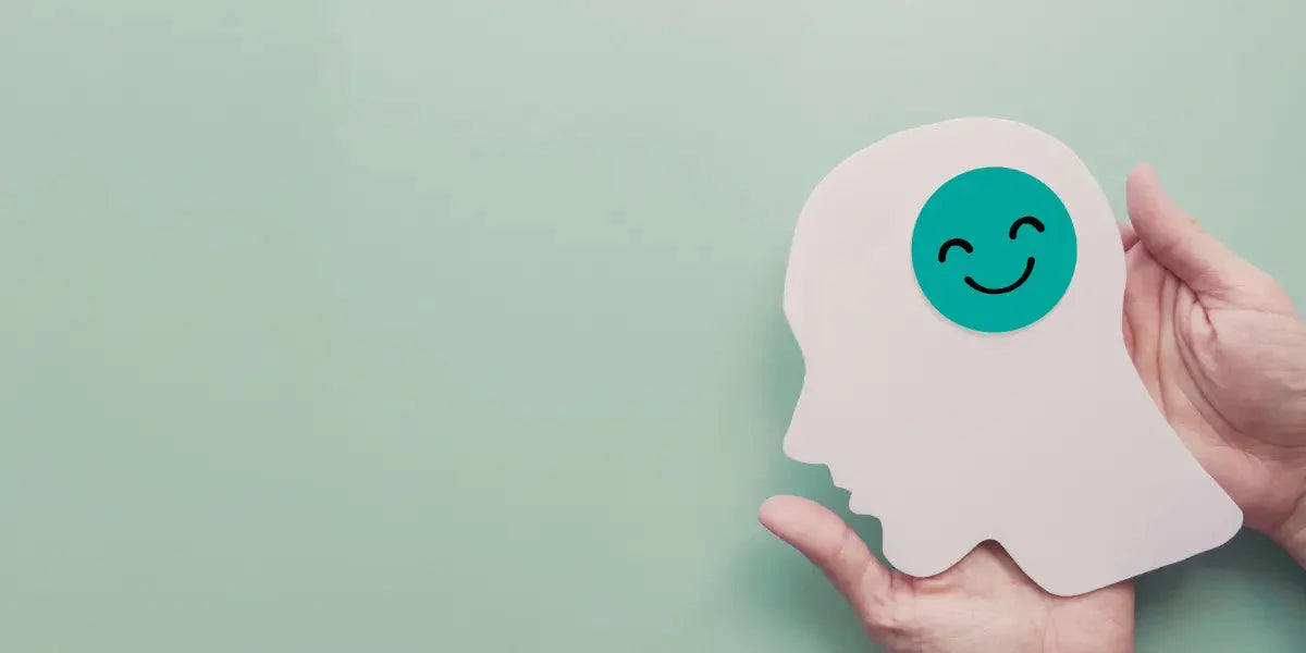 Zoom sur la sérotonine