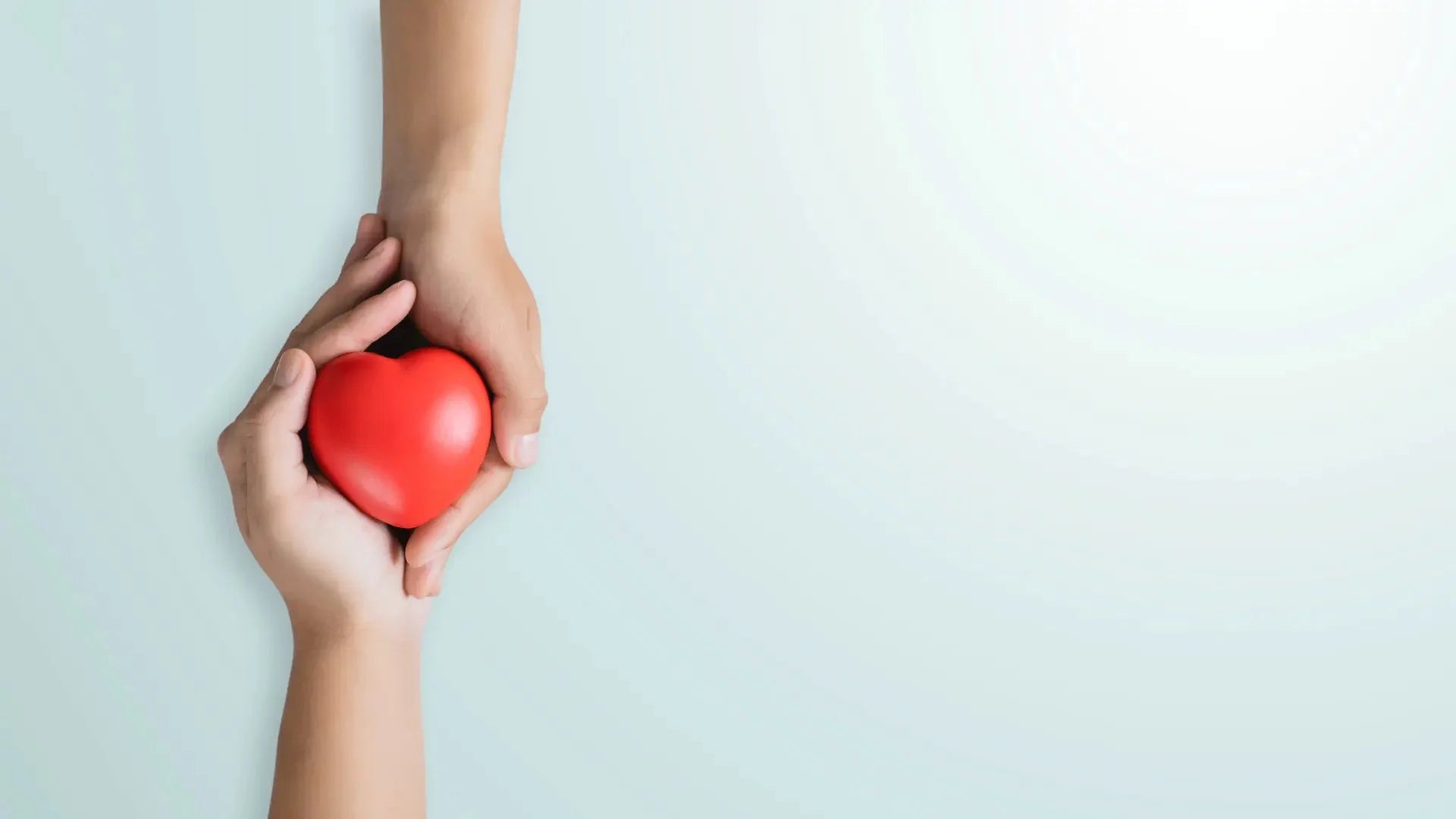 Zoom sur le cholestérol