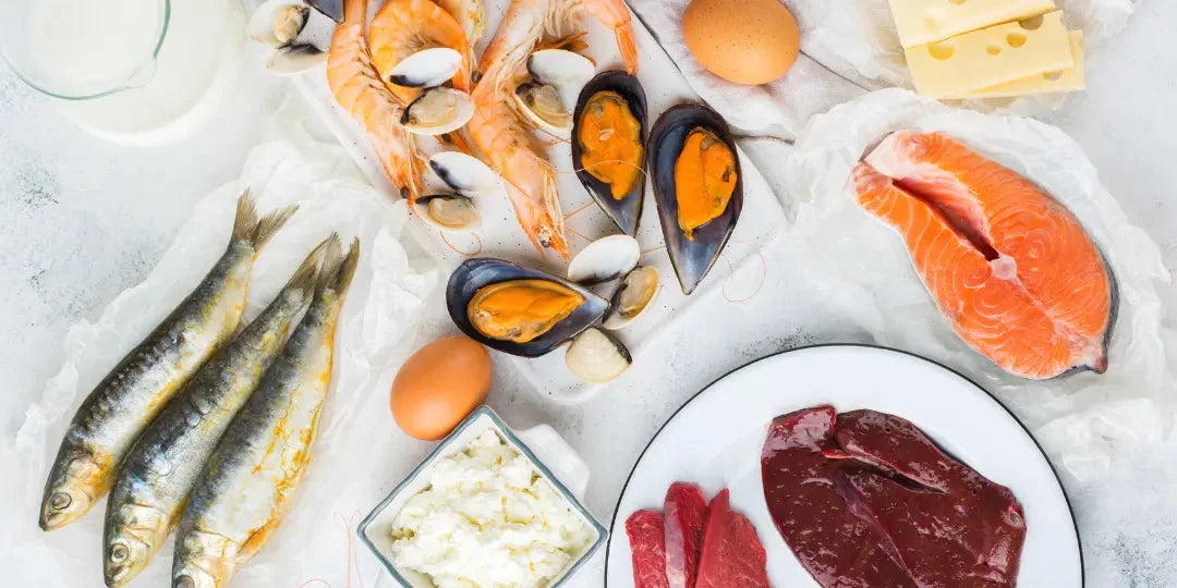 Les Carences en Vitamine B12