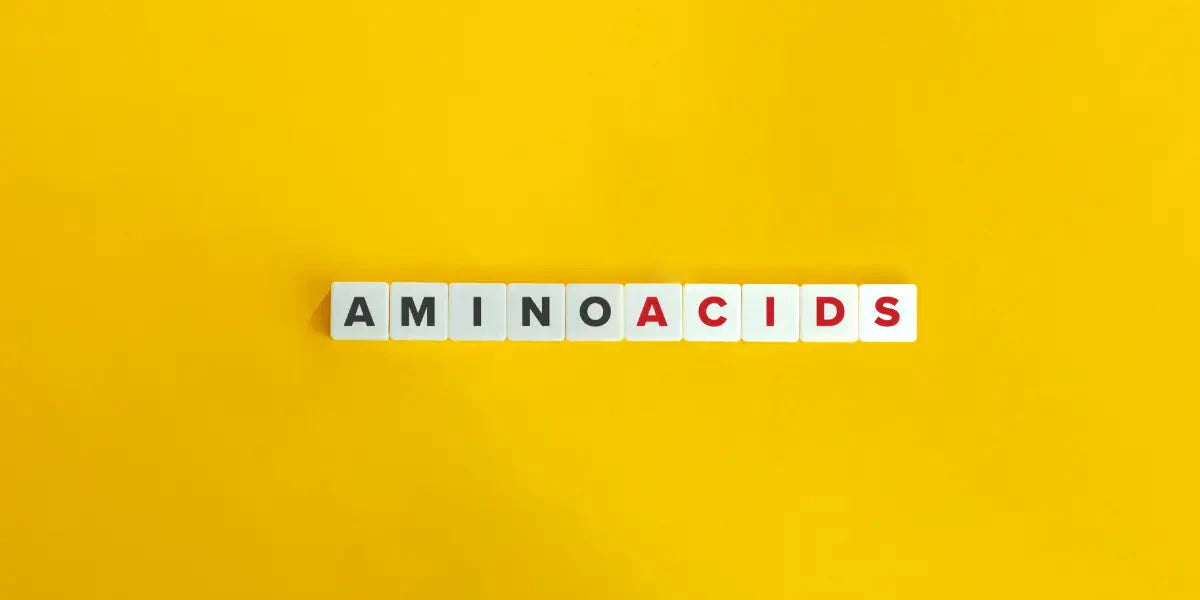 Les acides aminés: leurs bienfaits sur le corps