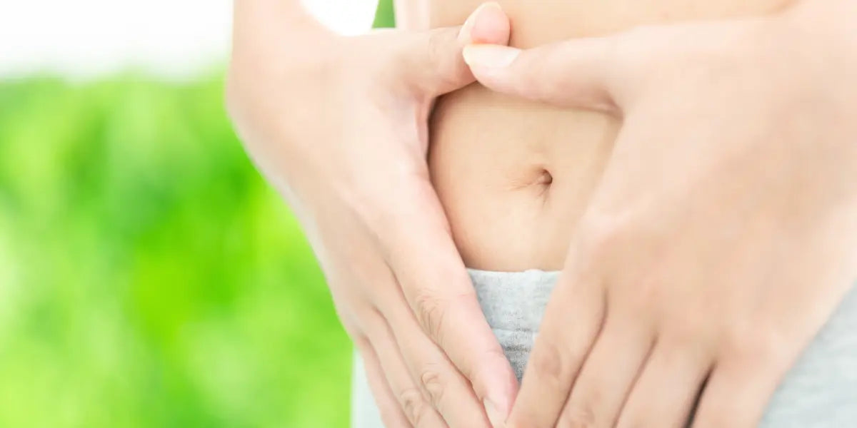 L'organomètre : L'innovation qui transforme votre productivité et vos évaluations