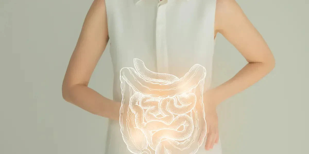 Le Syndrome de l’Intestin Irritable