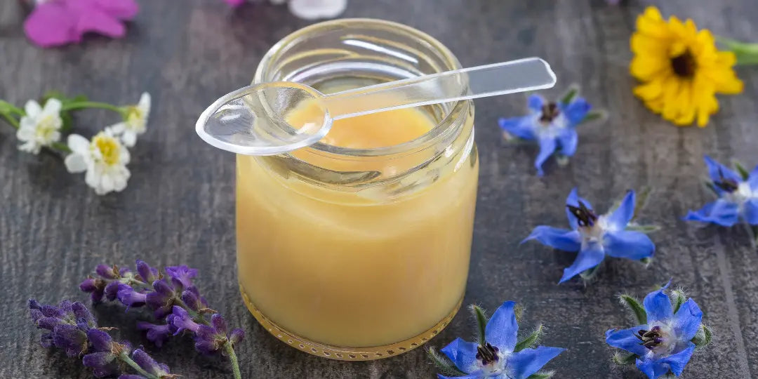 Gelée royale : un élixir pour une santé optimale