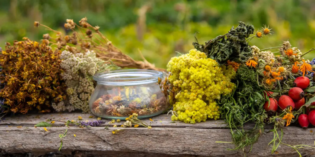 Bien dormir : les plantes efficaces de l’herboristerie