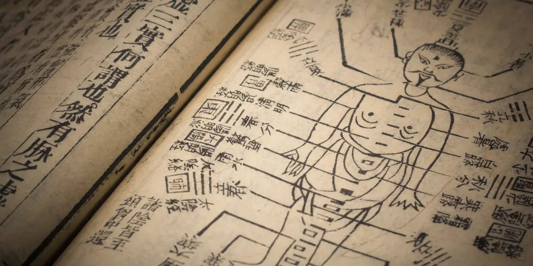 Les grands déséquilibres du sommeil selon la Médecine Traditionnelle Chinoise