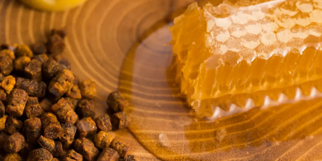 Propolis : le bouclier naturel de l’abeille pour notre bien-être