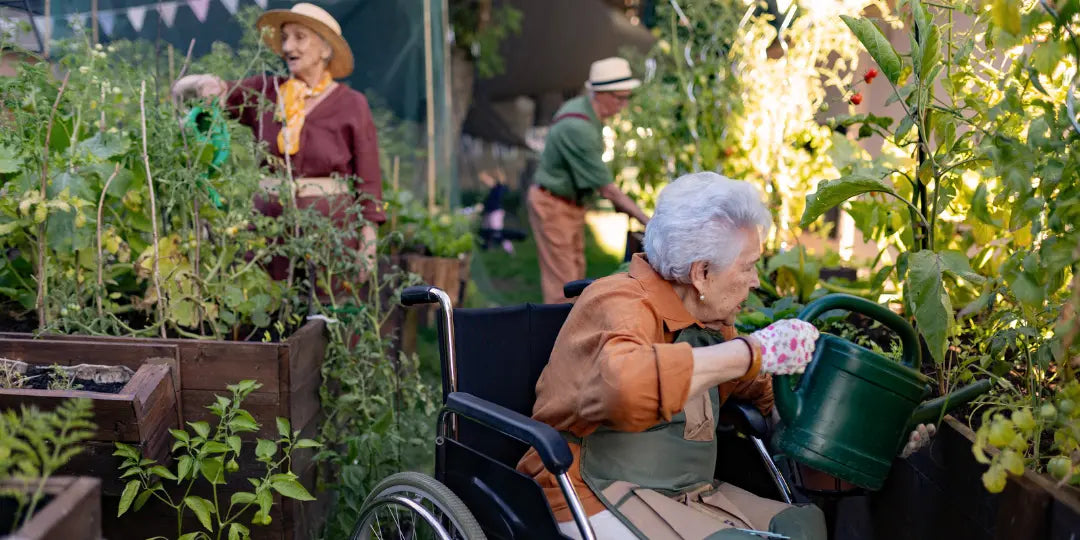 Le jardinage thérapeutique : Une clé de réhabilitation douce pour les seniors