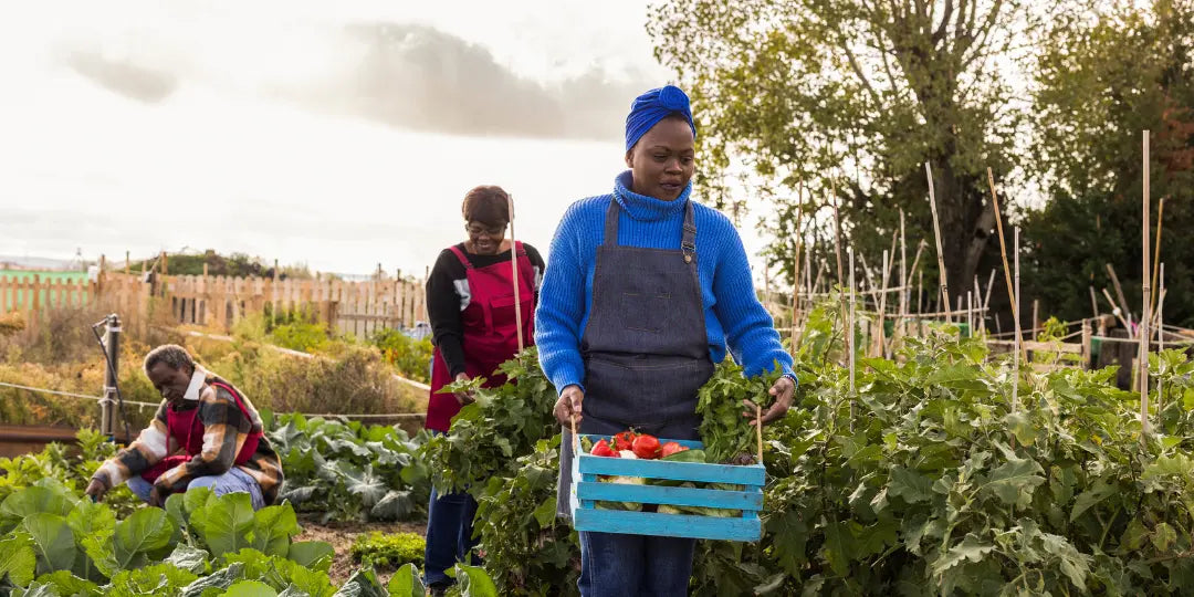 Cultiver ses remèdes naturels grâce au jardinage