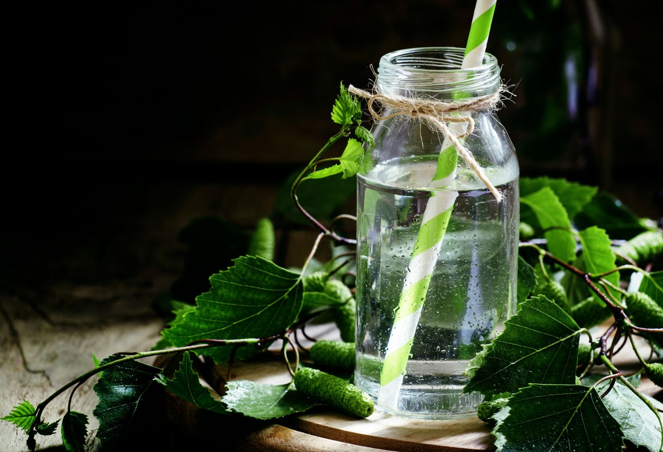 Birch sap - Detox cure to help you lose weight?