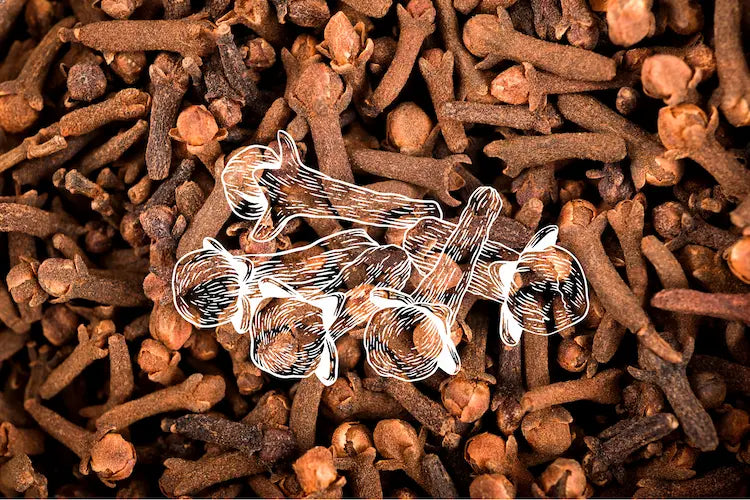 Clou de girofle : Le remède naturel efficace contre les douleurs dentaires