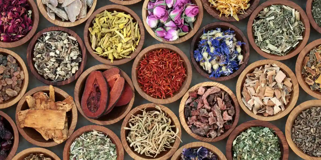 Ayurveda: Conseils pour Intégrer l’Ayurveda dans Votre Vie