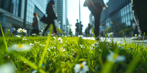 L'importance des espaces verts en milieu urbain pour la santé