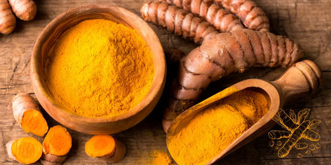 Les bienfaits du curcuma pour la santé: anti-inflammatoire, antioxydant et plus