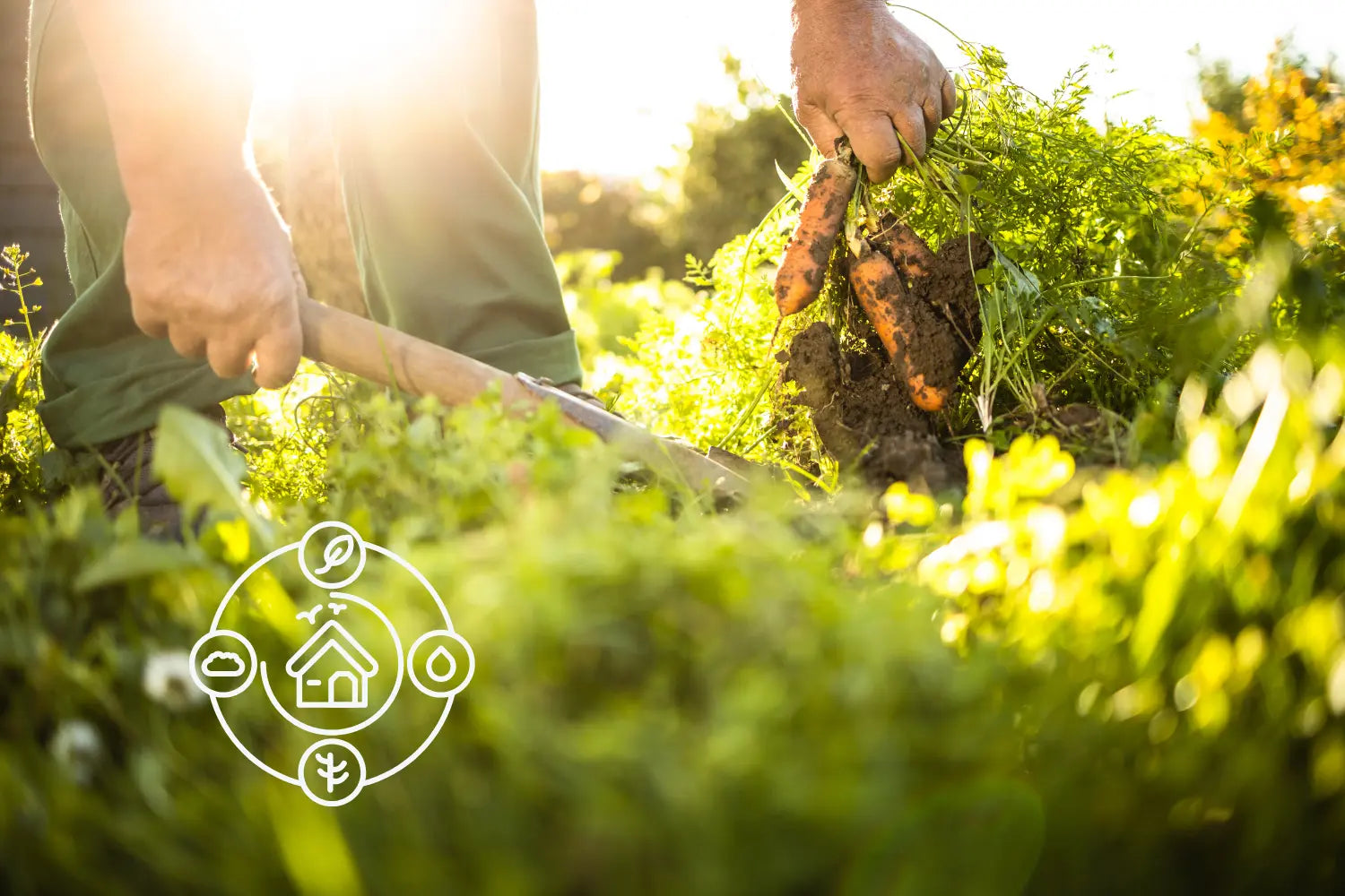 Permaculture et bien-être mental : Cultivez votre équilibre au jardin