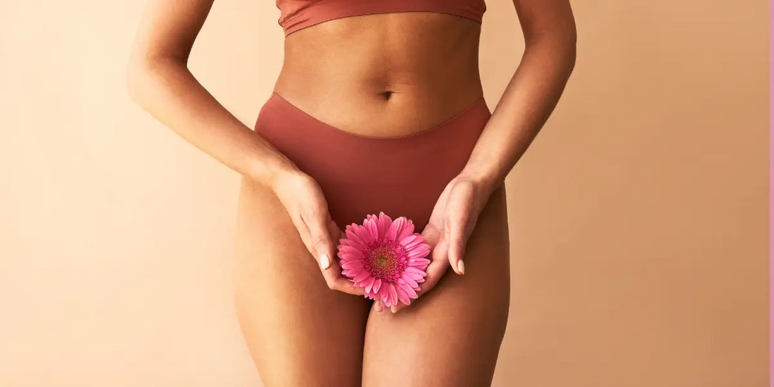 La culotte menstruelle : conjuguer naturalité, santé intime et engagement environnemental
