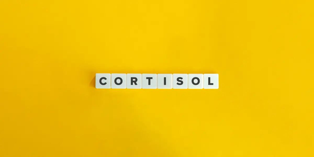 Zoom sur le cortisol