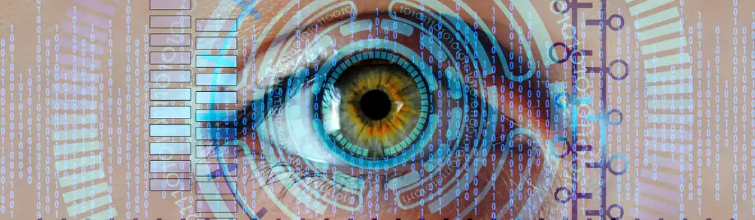 Oeil