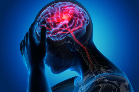 Hypothèse vasculaire des crises de migraines