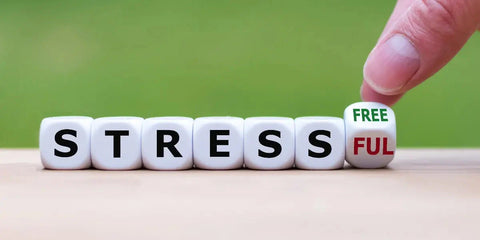 La gestion de l'anxiété et du stress pour une meilleure santé