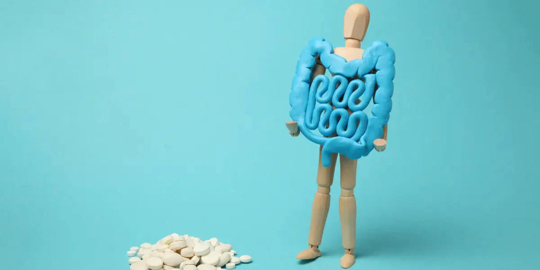 Comprendre votre système digestif