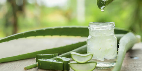 Comprendre les bienfaits de l'Aloe Vera pour la santé