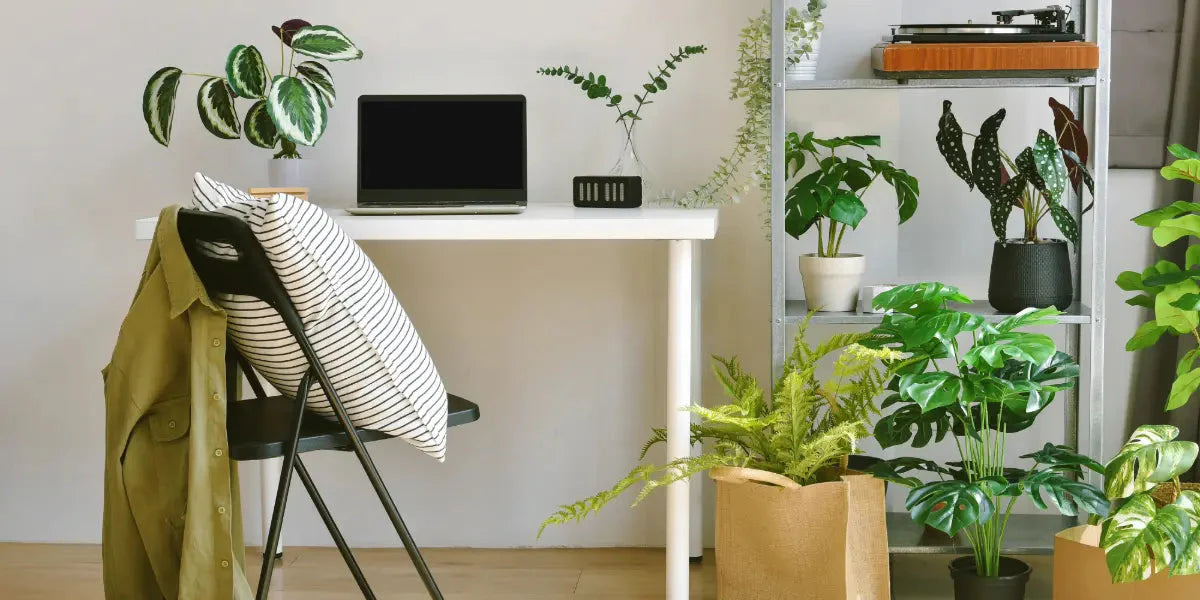 4 astuces pour un espace de travail sain promouvant la concentration