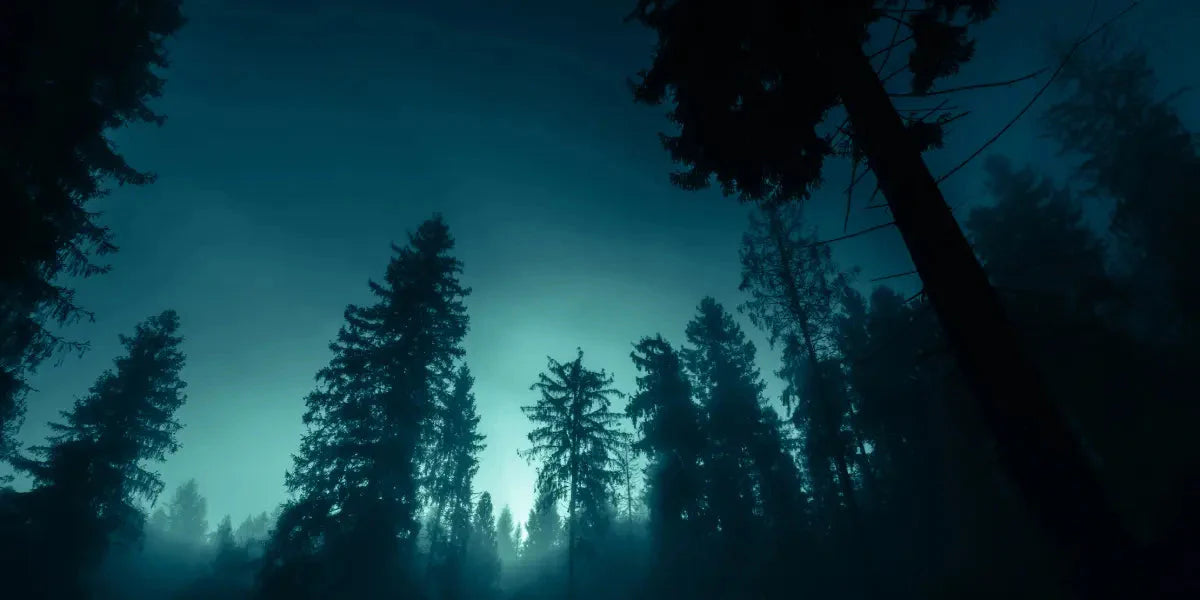 Thérapie par l'obscurité