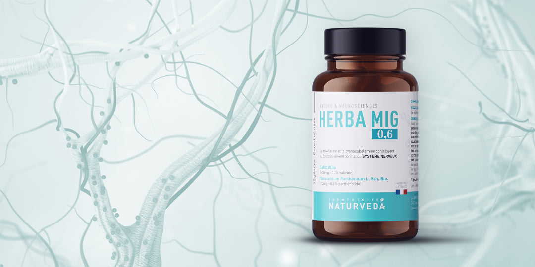 Au cœur de l'innovation : la science derrière HERBA MIG 0.6