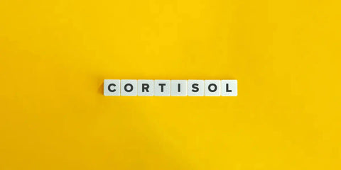 Zoom sur le cortisol