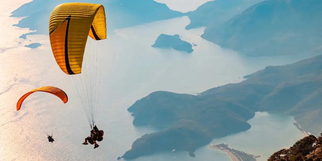 Zoom sur l'adrénaline