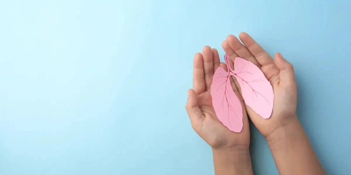 Comprendre votre système respiratoire