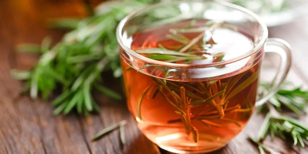 Les infusions de romarin pour booster la mémoire