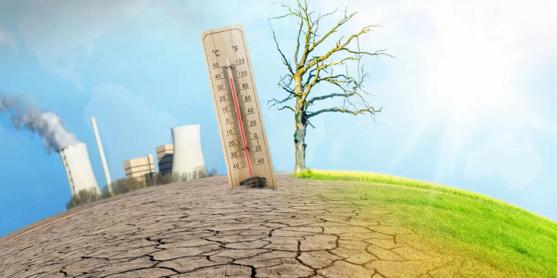 Les impacts du changement climatique sur la santé publique