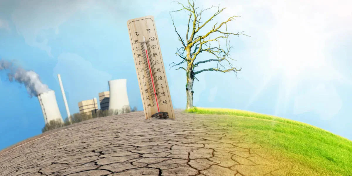 Les impacts du changement climatique sur la santé publique