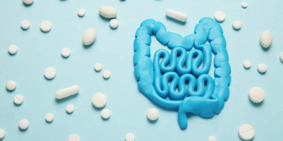 Le rôle des probiotiques dans la prévention des maladies