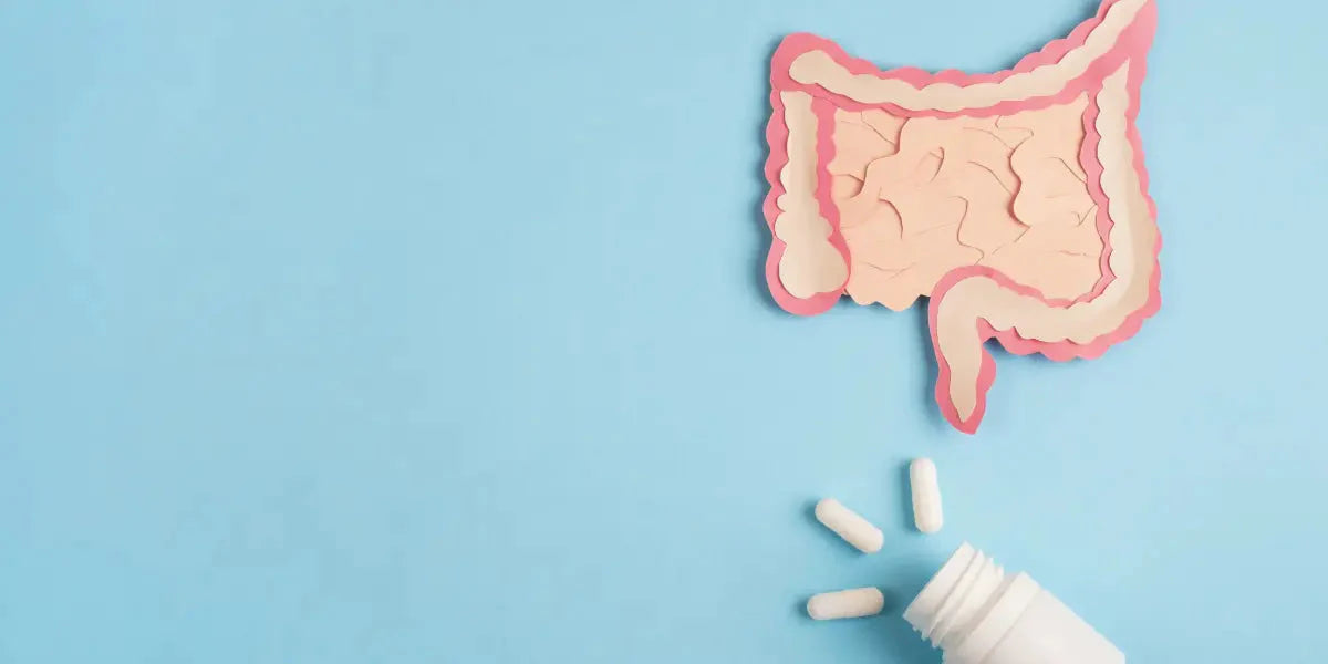 Le microbiome intestinal : Un allié méconnu pour notre santé globale