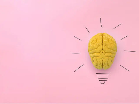 reproduction d'un cerveau disposé sur un fond rose et dessin autour pour qu'il forme la représentation d'une ampoule