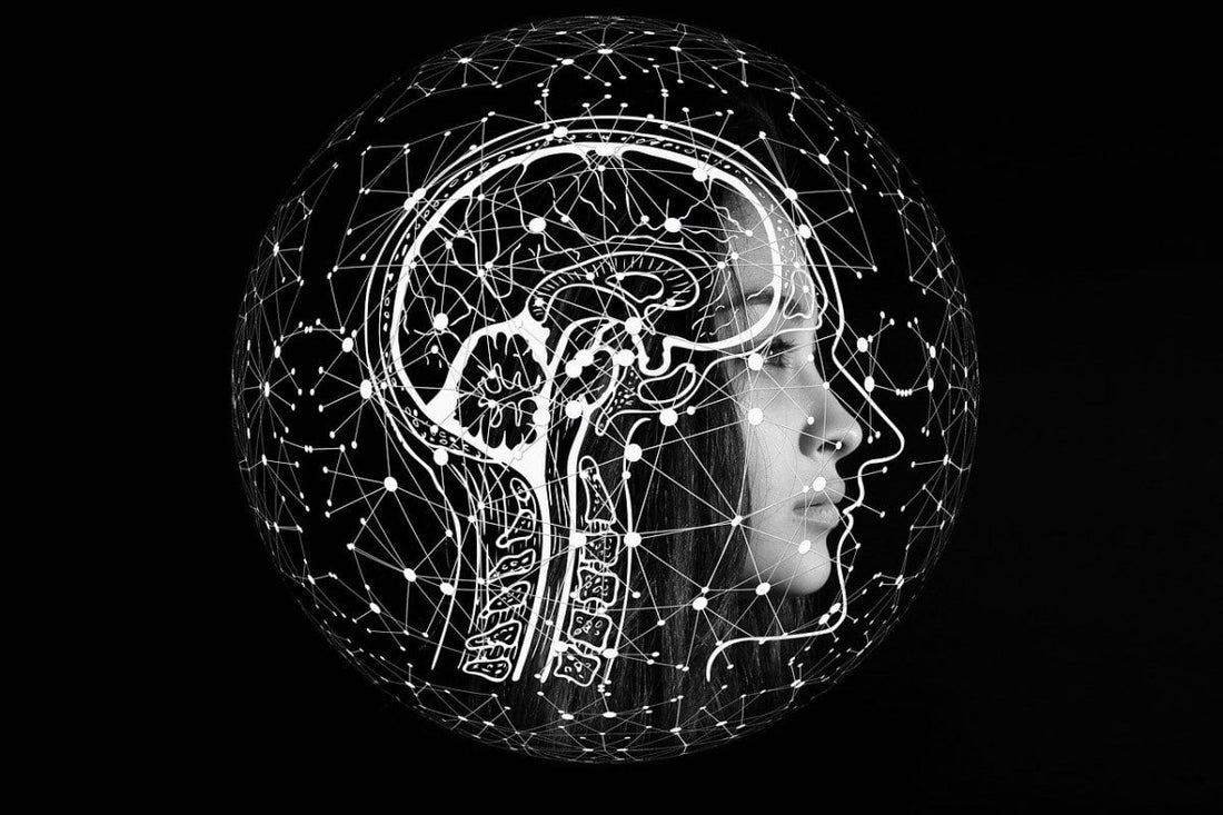 Substance P et CGRP : un duo clé dans l'inflammation neurogène