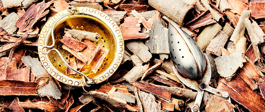 Saule blanc : un anti-inflammatoire naturel puissant