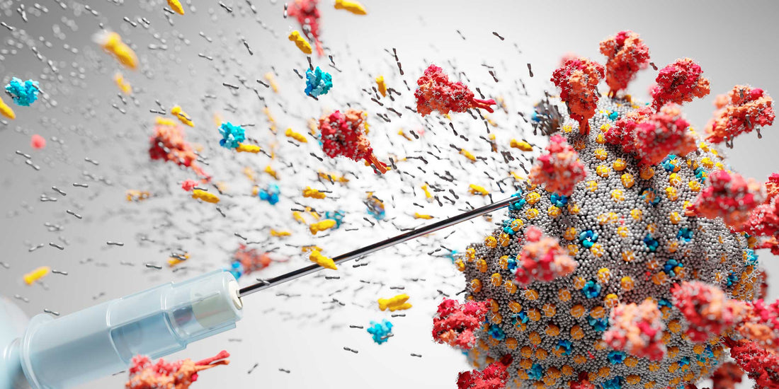 Véganisme et végétarisme : un avenir sans pandémies